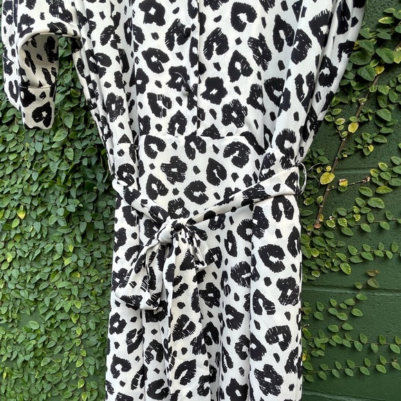 Fabienne Chapot | Brizo Leopard Dress | Size 6/8 - Picture 12 of 15